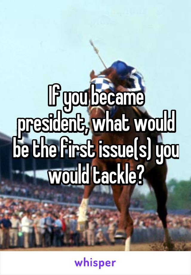 If you became president, what would be the first issue(s) you would tackle?