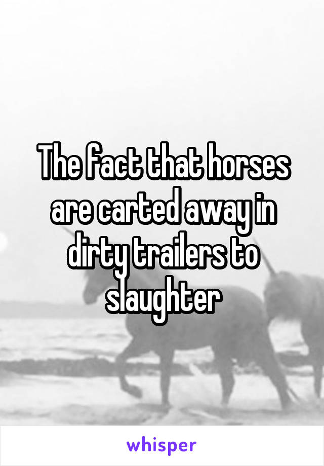 The fact that horses are carted away in dirty trailers to slaughter