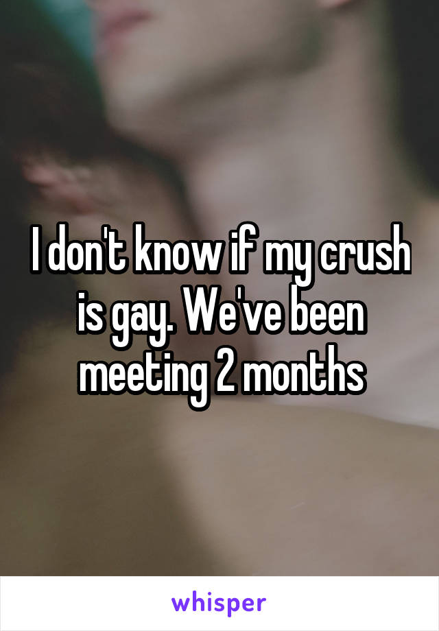 I don't know if my crush is gay. We've been meeting 2 months