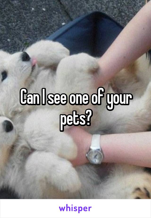 Can I see one of your pets?