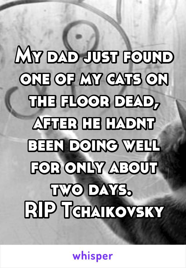 My dad just found one of my cats on the floor dead, after he hadnt been doing well for only about two days. 
RIP Tchaikovsky