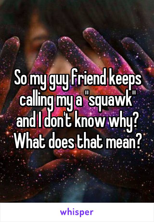 So my guy friend keeps calling my a "squawk" and I don't know why? What does that mean?