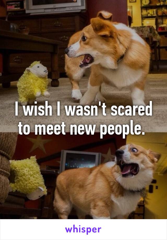I wish I wasn't scared to meet new people. 