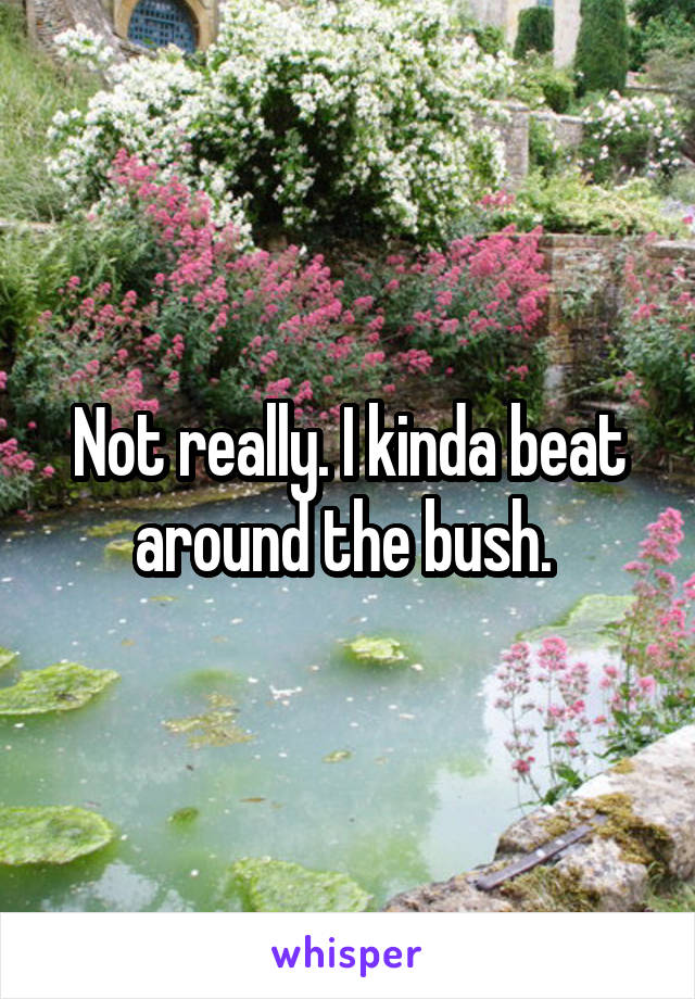 Not really. I kinda beat around the bush. 