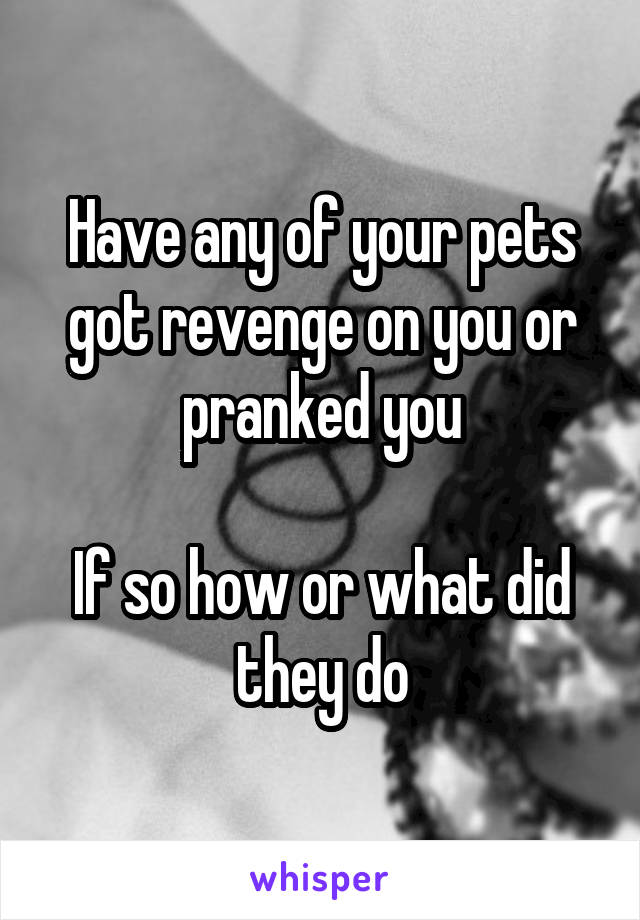 Have any of your pets got revenge on you or pranked you

If so how or what did they do