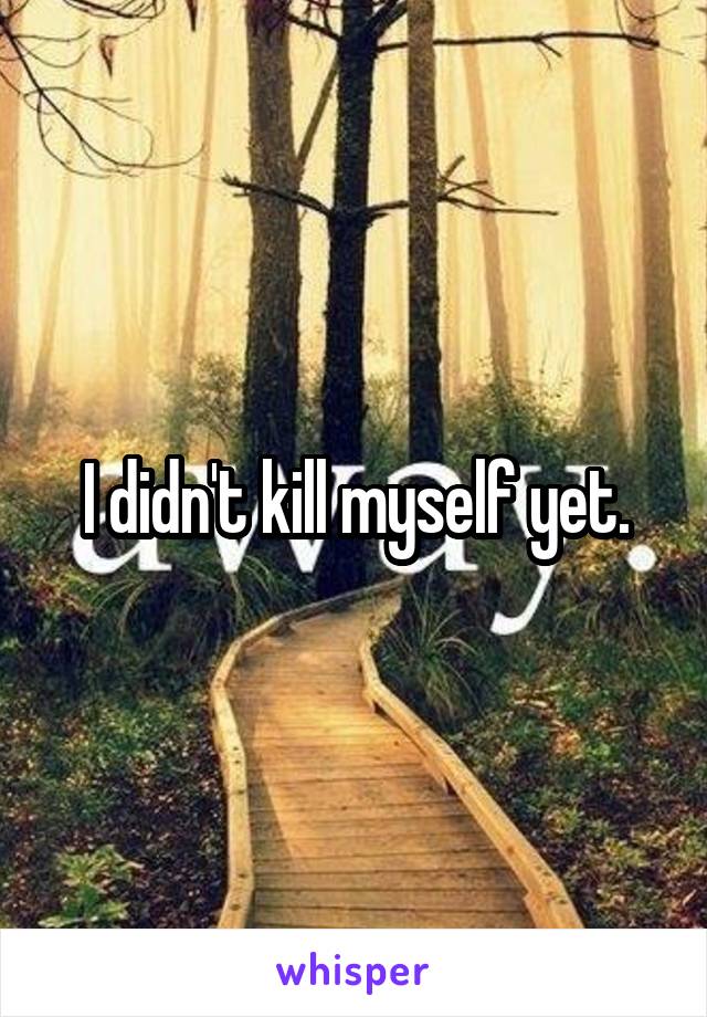 I didn't kill myself yet.