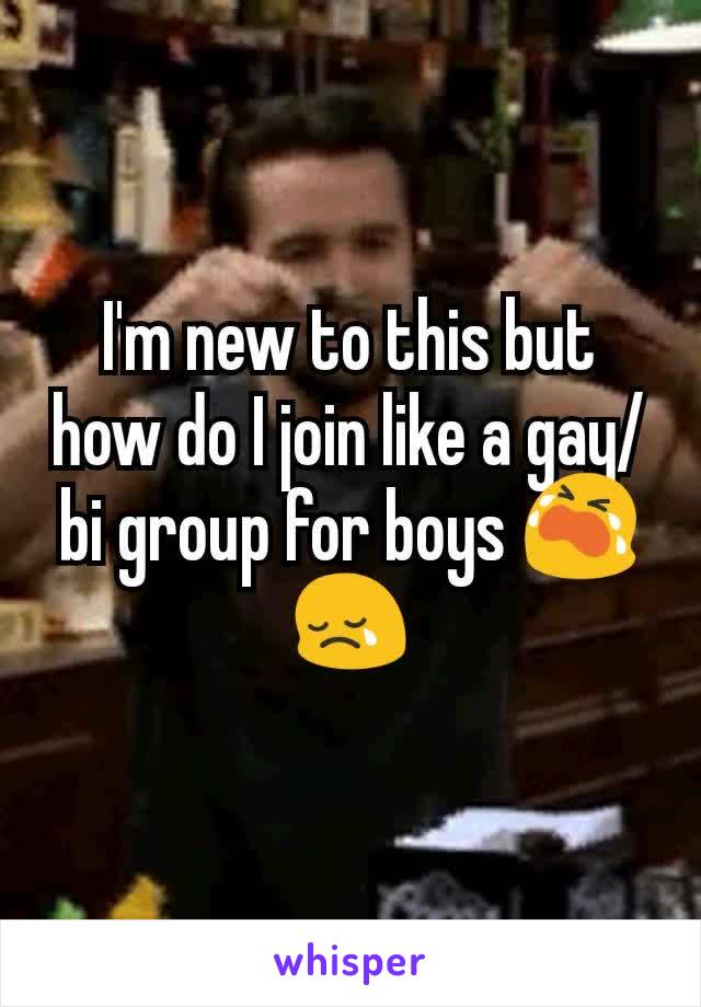I'm new to this but how do I join like a gay/ bi group for boys 😭😢