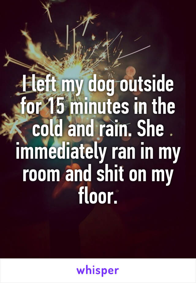 I left my dog outside for 15 minutes in the cold and rain. She immediately ran in my room and shit on my floor.