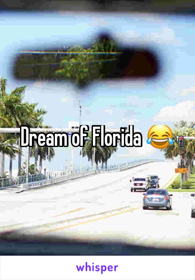 Dream of Florida 😂