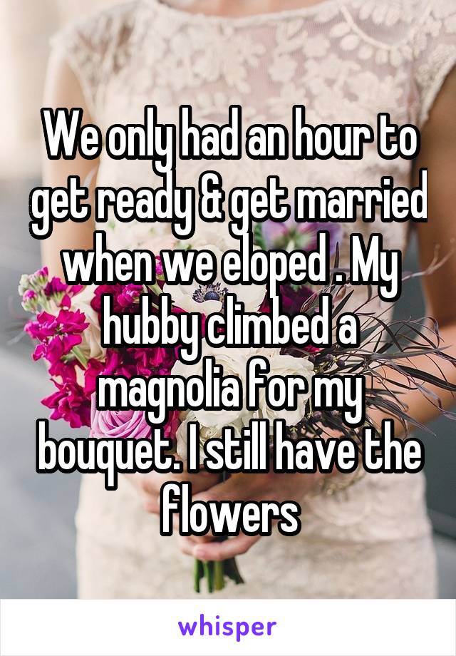 We only had an hour to get ready & get married when we eloped . My hubby climbed a magnolia for my bouquet. I still have the flowers