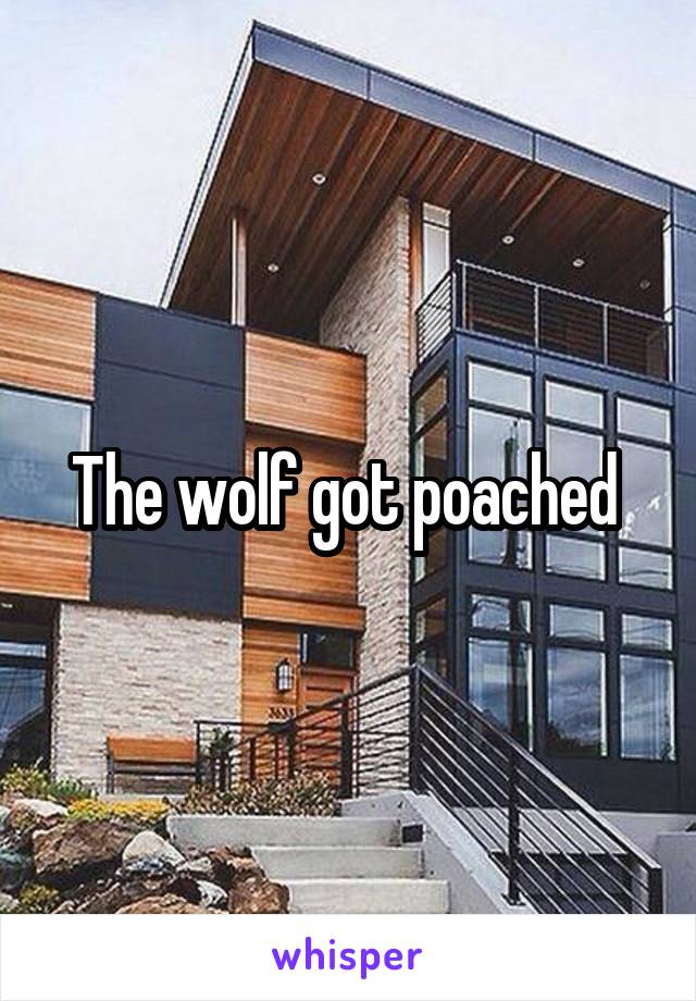 The wolf got poached 