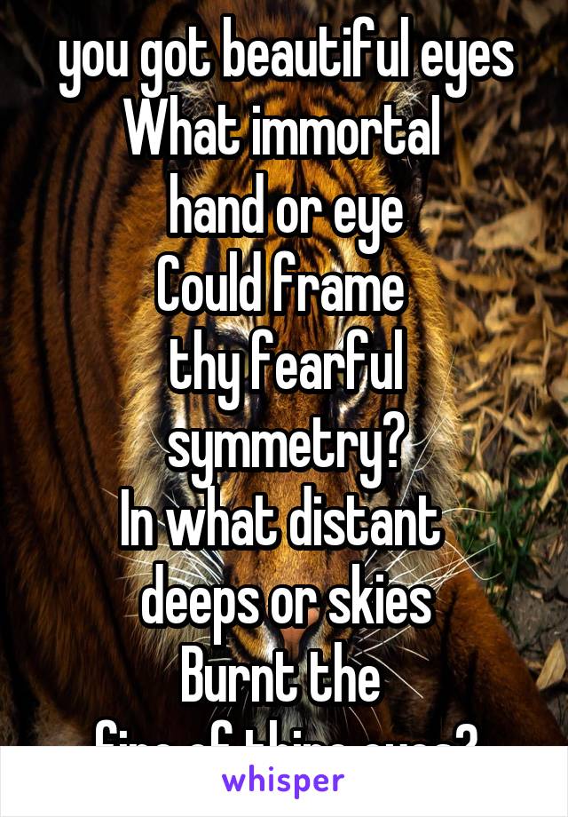 you got beautiful eyes
What immortal 
hand or eye
Could frame 
thy fearful symmetry?
In what distant 
deeps or skies
Burnt the 
fire of thine eyes?