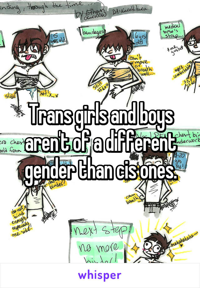 Trans girls and boys aren't of a different gender than cis ones.