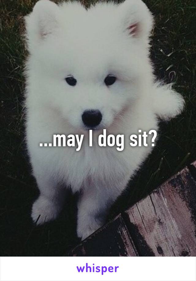 ...may I dog sit?
