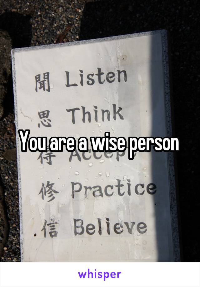 You are a wise person 