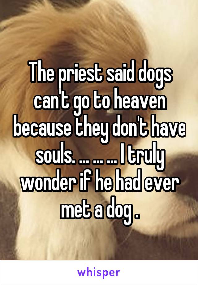 The priest said dogs can't go to heaven because they don't have souls. ... ... ... I truly wonder if he had ever met a dog .