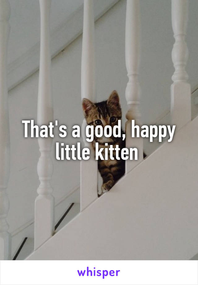 That's a good, happy little kitten 