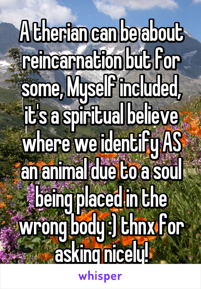 A therian can be about reincarnation but for some, Myself included, it's a spiritual believe where we identify AS an animal due to a soul being placed in the wrong body :) thnx for asking nicely!