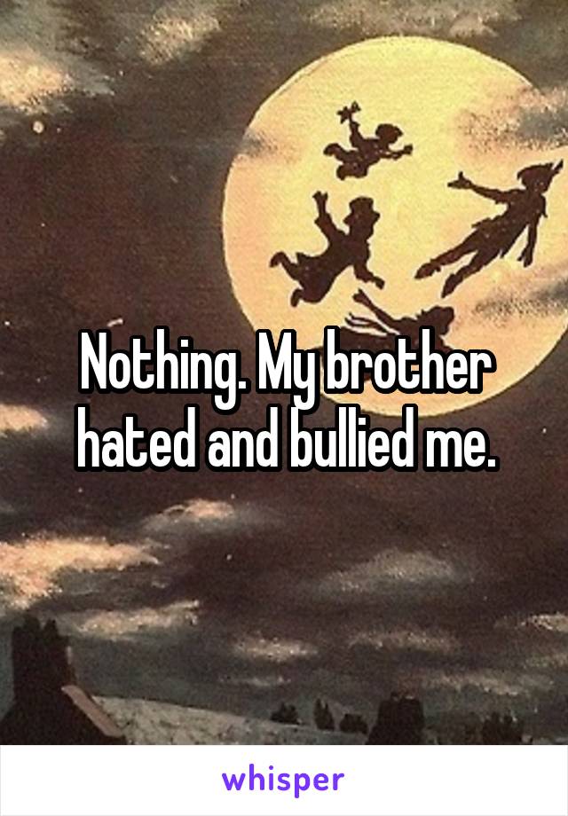 Nothing. My brother hated and bullied me.