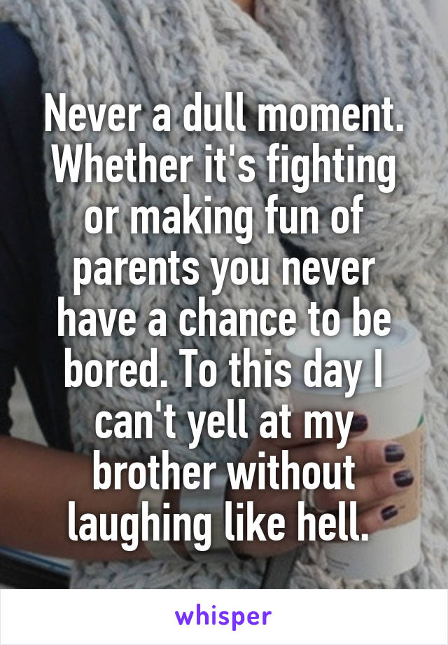 Never a dull moment. Whether it's fighting or making fun of parents you never have a chance to be bored. To this day I can't yell at my brother without laughing like hell. 