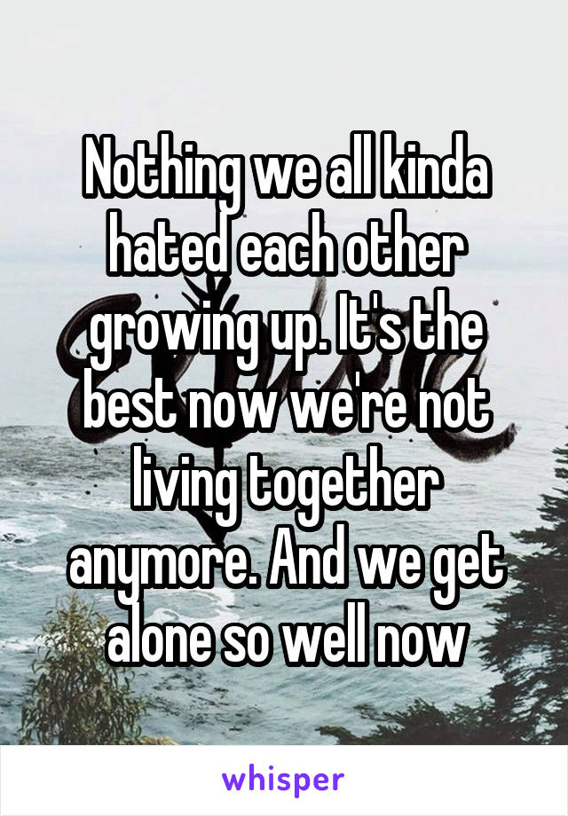 Nothing we all kinda hated each other growing up. It's the best now we're not living together anymore. And we get alone so well now