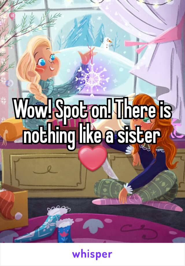 Wow! Spot on! There is nothing like a sister ❤