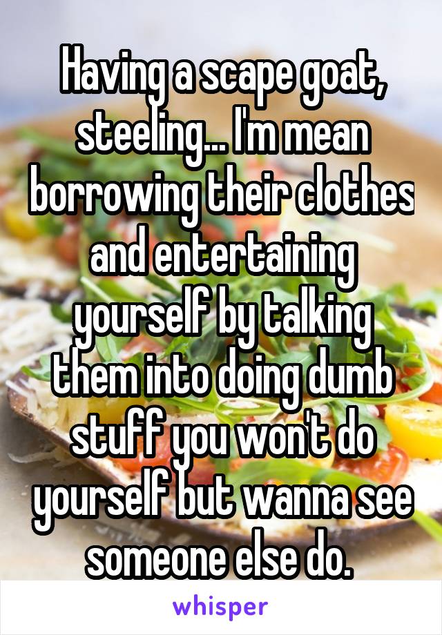 Having a scape goat, steeling... I'm mean borrowing their clothes and entertaining yourself by talking them into doing dumb stuff you won't do yourself but wanna see someone else do. 