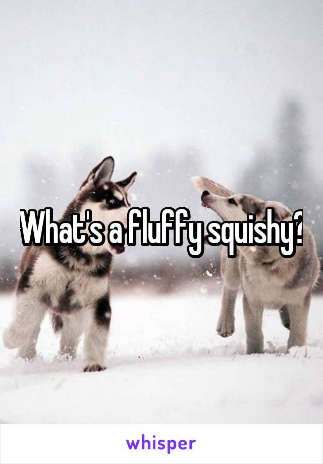 What's a fluffy squishy?