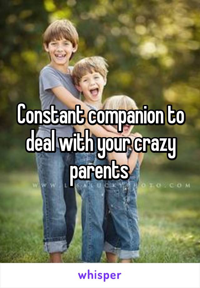 Constant companion to deal with your crazy parents 