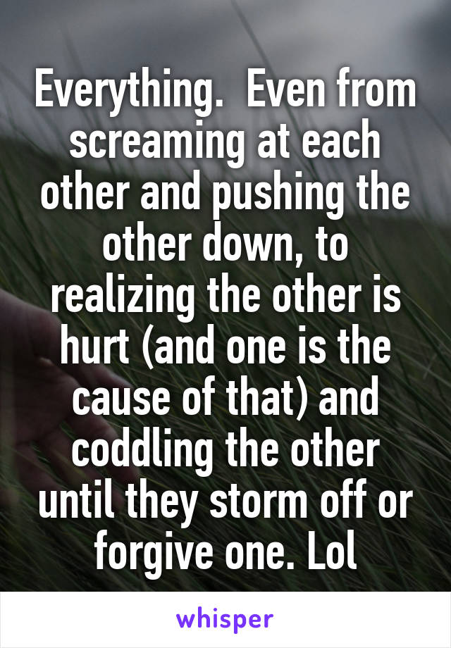 Everything.  Even from screaming at each other and pushing the other down, to realizing the other is hurt (and one is the cause of that) and coddling the other until they storm off or forgive one. Lol