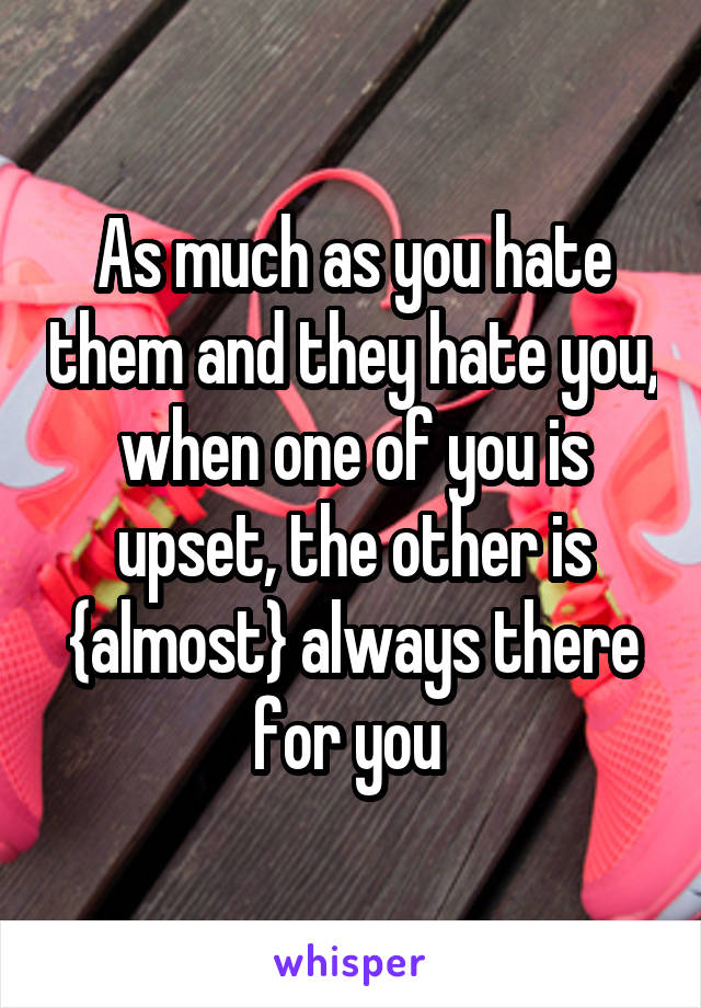 As much as you hate them and they hate you, when one of you is upset, the other is {almost} always there for you 