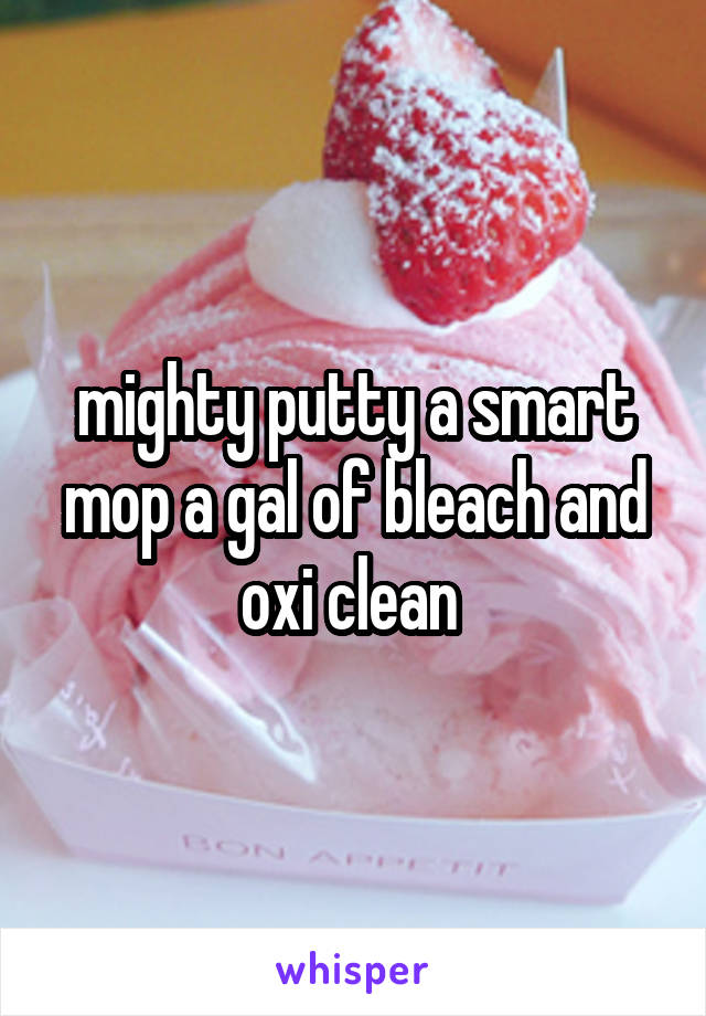 mighty putty a smart mop a gal of bleach and oxi clean 