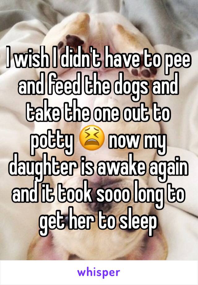 I wish I didn't have to pee and feed the dogs and take the one out to potty 😫 now my daughter is awake again and it took sooo long to get her to sleep