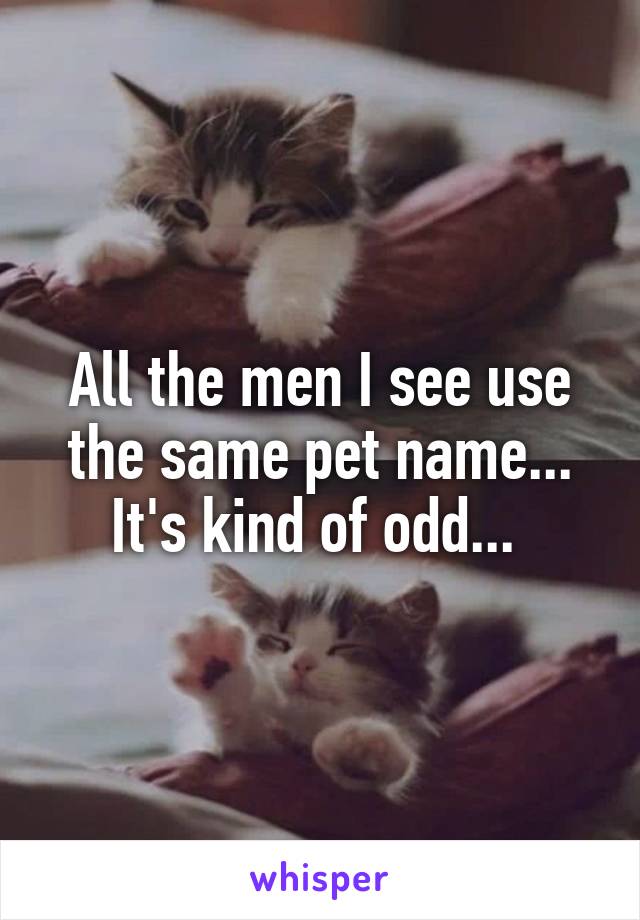 All the men I see use the same pet name... It's kind of odd... 