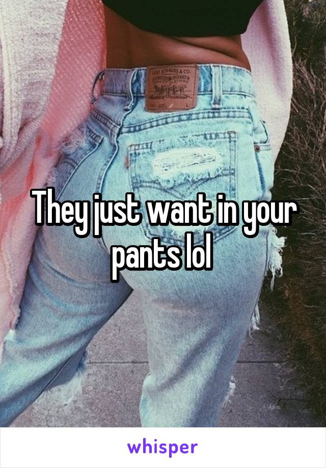 They just want in your pants lol 