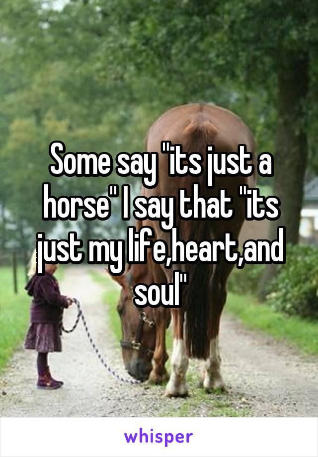 Some say "its just a horse" I say that "its just my life,heart,and soul"