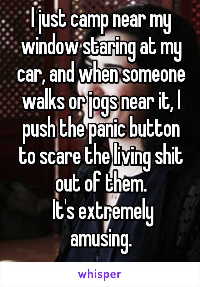 I just camp near my window staring at my car, and when someone walks or jogs near it, I push the panic button to scare the living shit out of them.
 It's extremely amusing.
