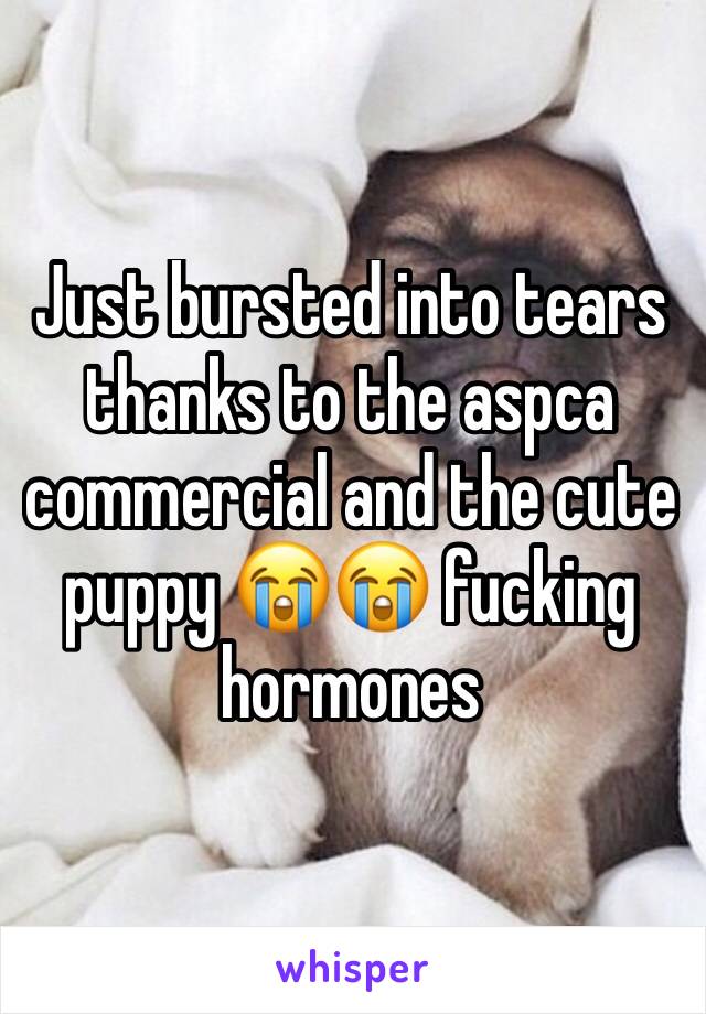 Just bursted into tears thanks to the aspca commercial and the cute puppy 😭😭 fucking hormones 