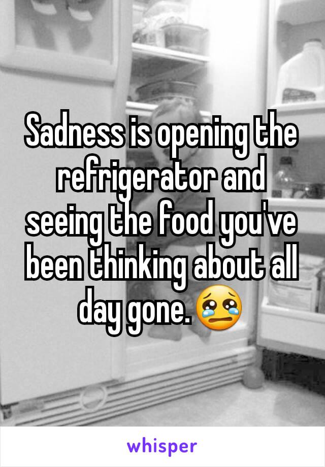 Sadness is opening the refrigerator and seeing the food you've been thinking about all day gone.😢