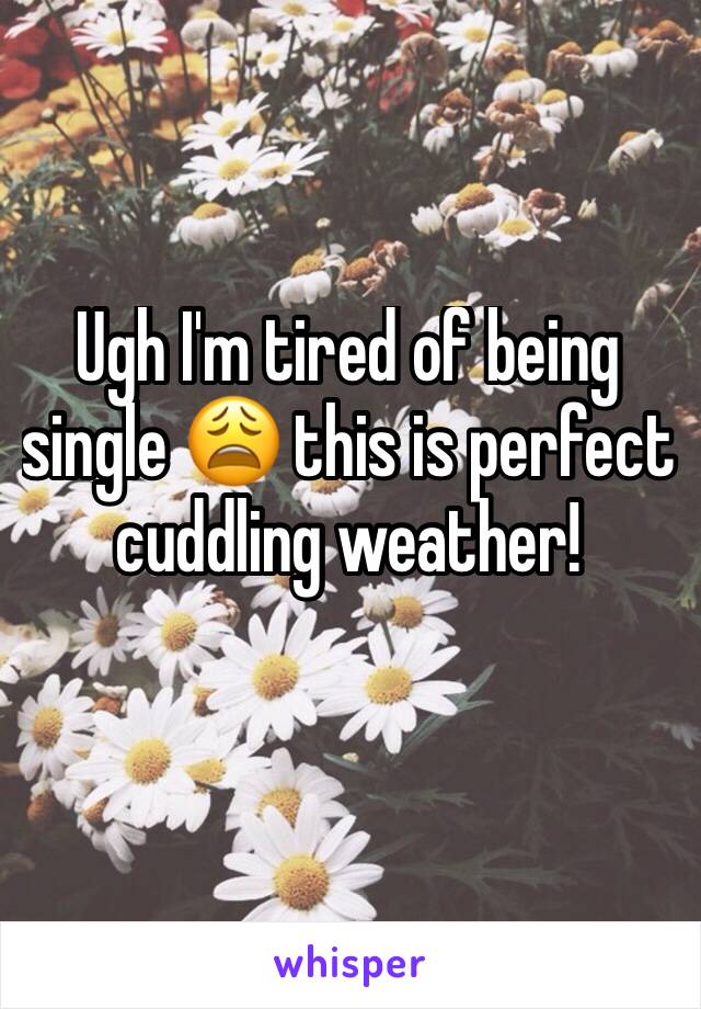 Ugh I'm tired of being single 😩 this is perfect cuddling weather!