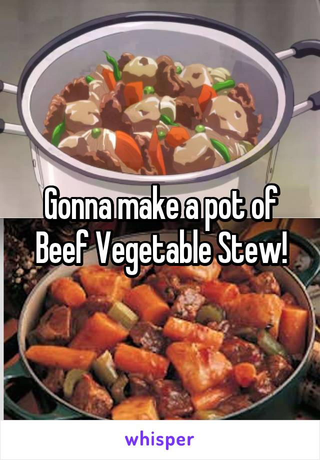 Gonna make a pot of Beef Vegetable Stew!