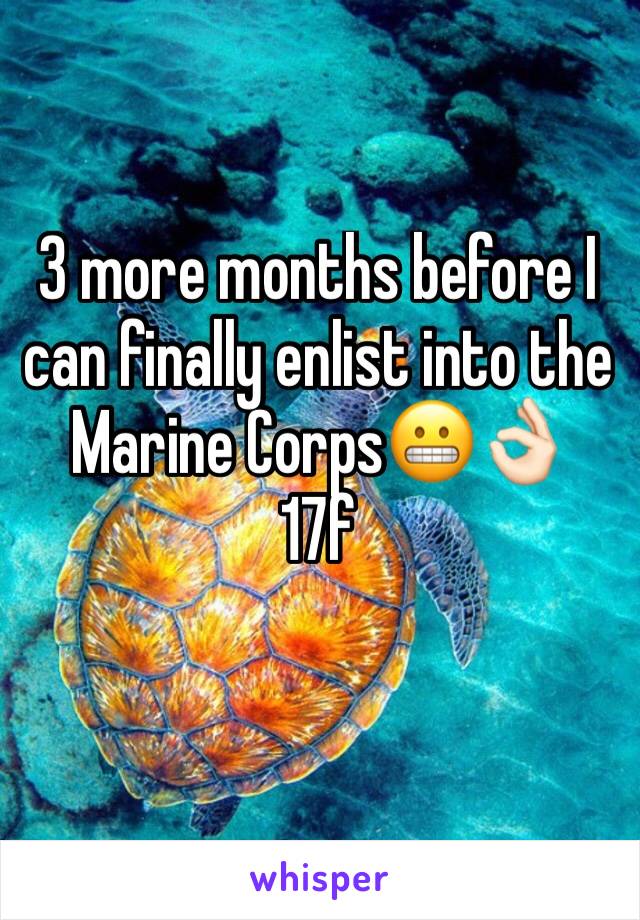 3 more months before I can finally enlist into the Marine Corps😬👌🏻
17f