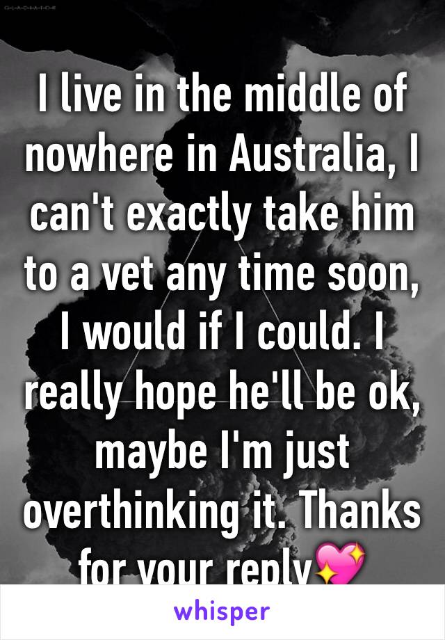 I live in the middle of nowhere in Australia, I can't exactly take him to a vet any time soon, I would if I could. I really hope he'll be ok, maybe I'm just overthinking it. Thanks for your reply💖