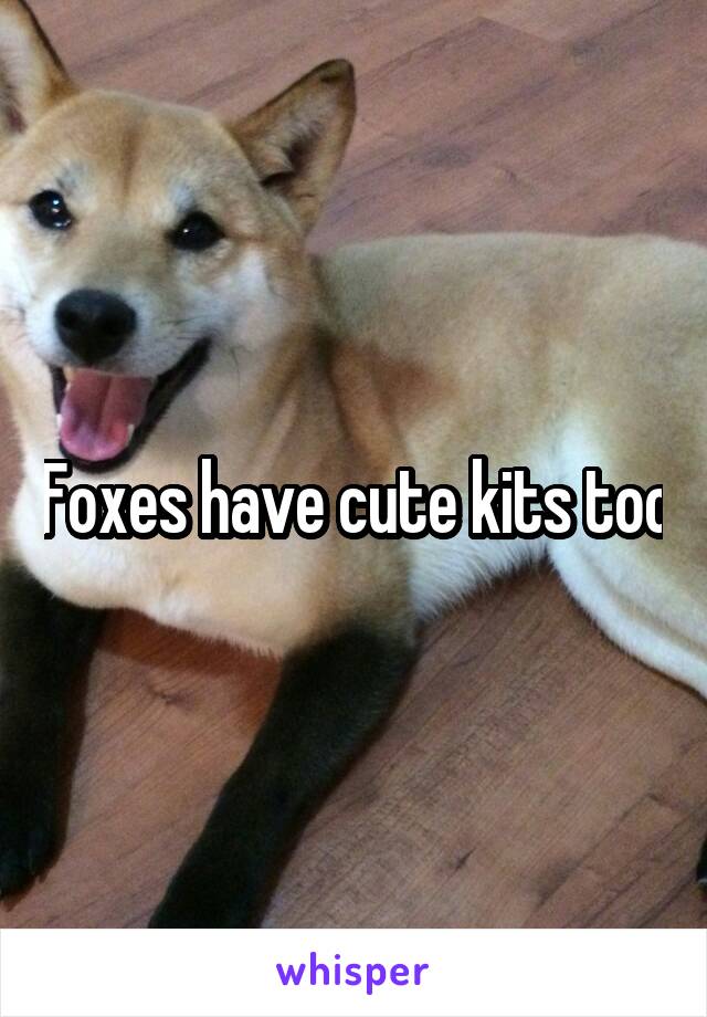 Foxes have cute kits too