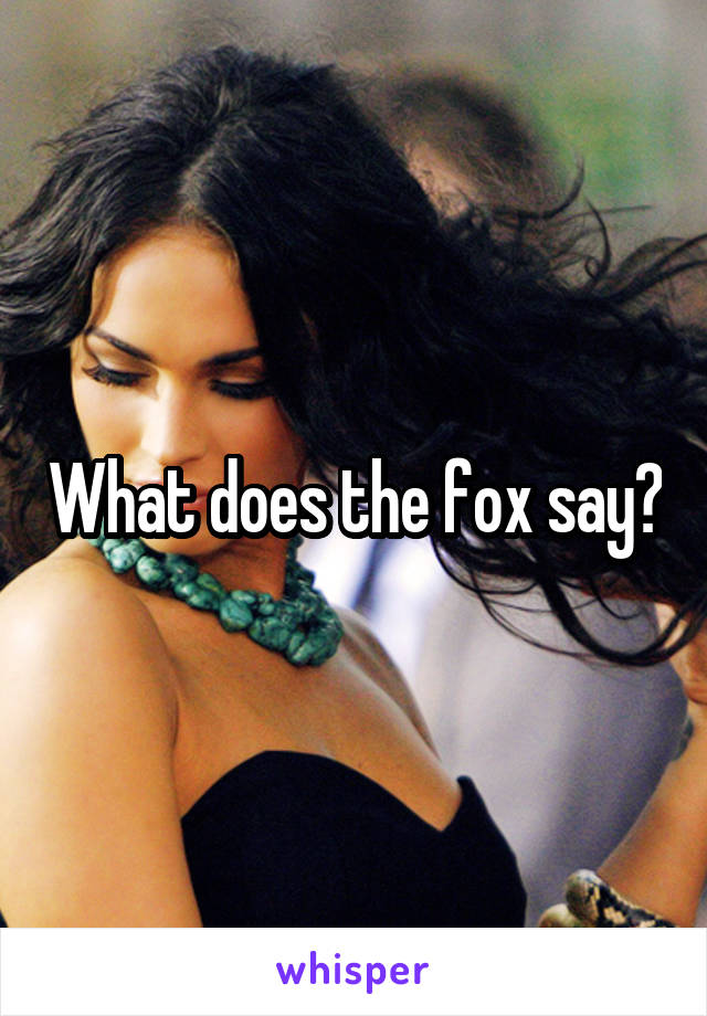 What does the fox say?