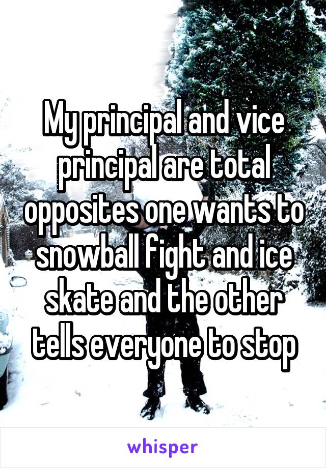 My principal and vice principal are total opposites one wants to snowball fight and ice skate and the other tells everyone to stop