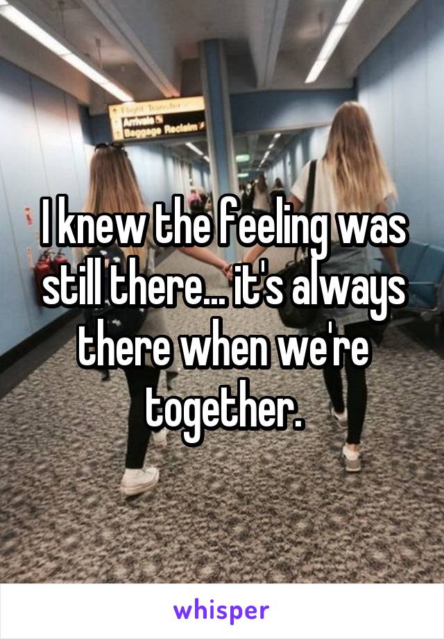 I knew the feeling was still there... it's always there when we're together.