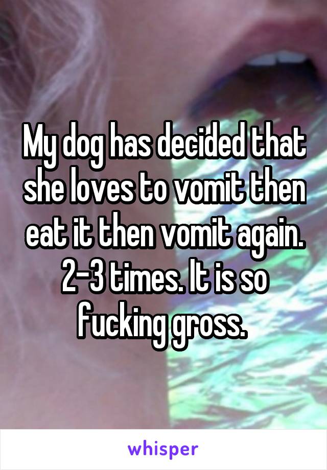 My dog has decided that she loves to vomit then eat it then vomit again. 2-3 times. It is so fucking gross. 