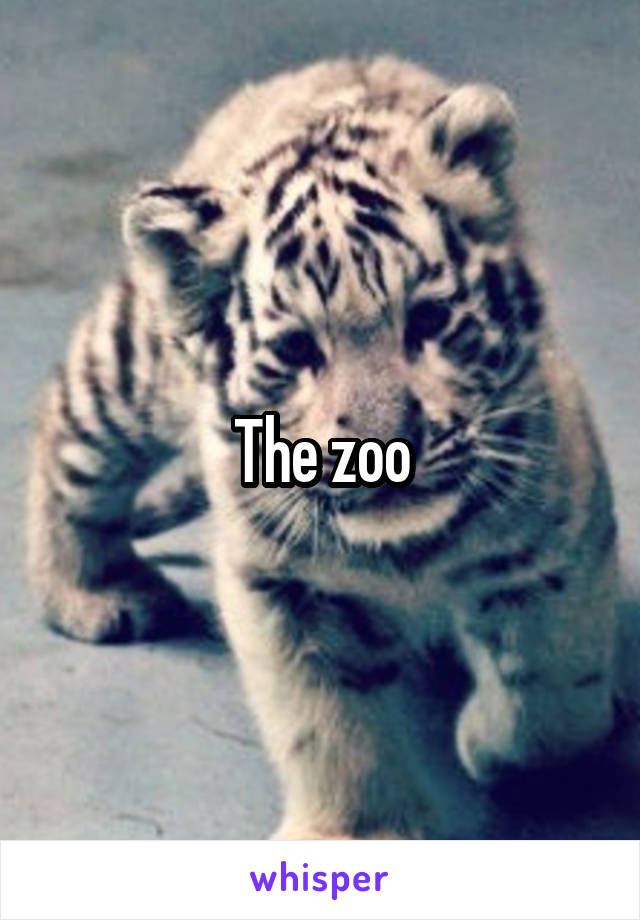 The zoo