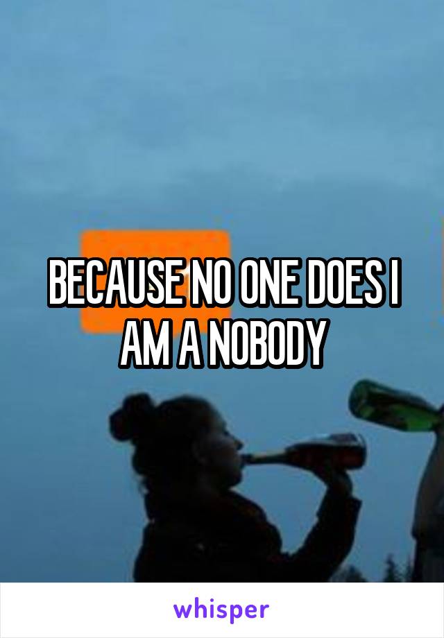 BECAUSE NO ONE DOES I AM A NOBODY